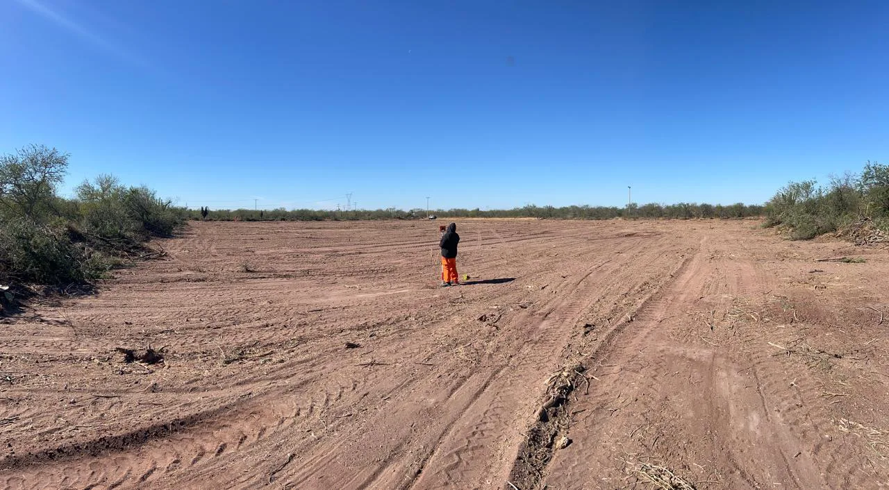 Desarrollo agrícola